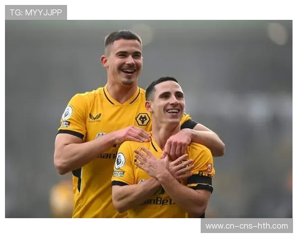 英超运动医学研究基金，创新疗法支持